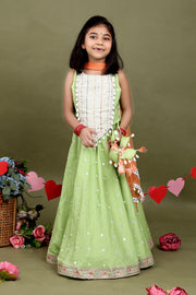 Gulnaar Pista Lehenga Set